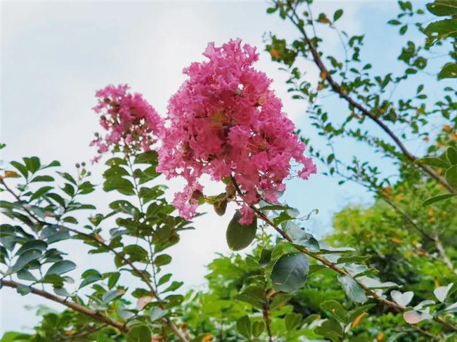 呼吸鮮氧，踐行公益——廣東博皓公益活動(dòng)：星溪線公益環(huán)?；顒?dòng)   -5