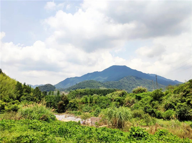 呼吸鮮氧，踐行公益——廣東博皓公益活動(dòng)：星溪線公益環(huán)保活動(dòng)   -6