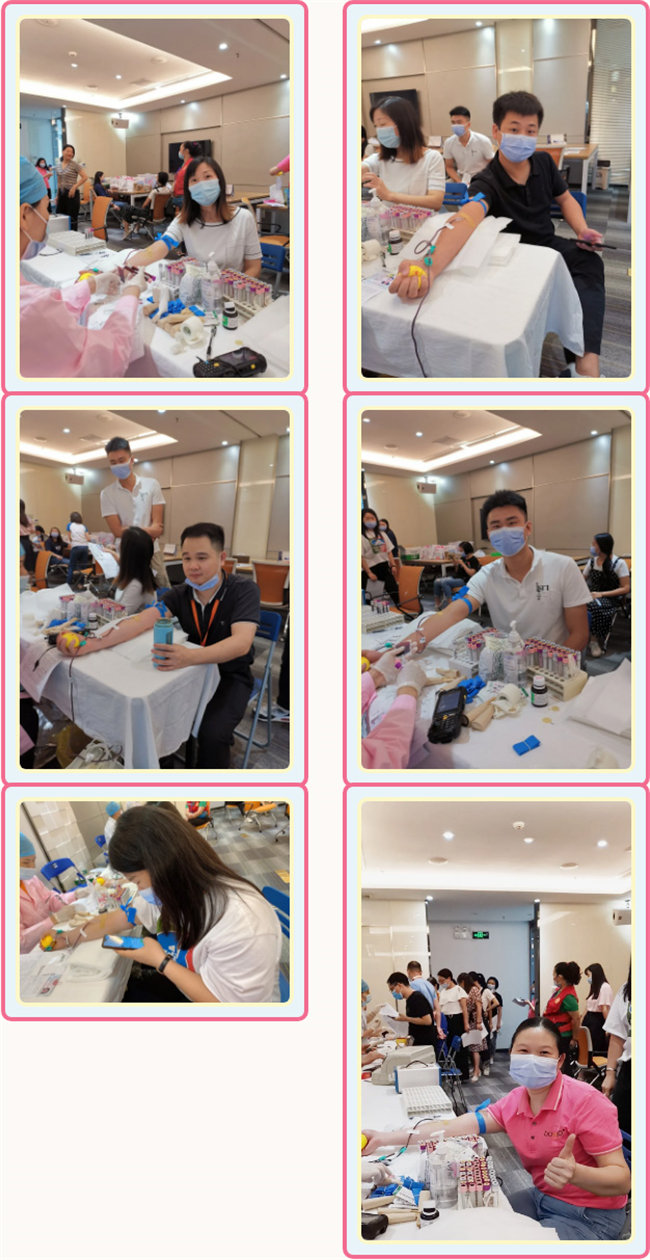 捐獻(xiàn)青春熱血，彩繪人生畫卷——廣東博皓總班委組織了一次“捐我熱血，呵護(hù)生命”的無償獻(xiàn)血公益活動(dòng)    -3