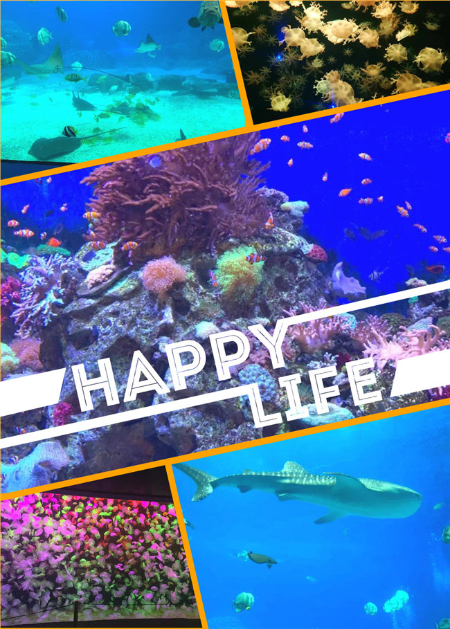 廣東博皓親子游：珠海長隆海洋王國，探索海洋生物的奧秘，奇妙的動(dòng)物世界