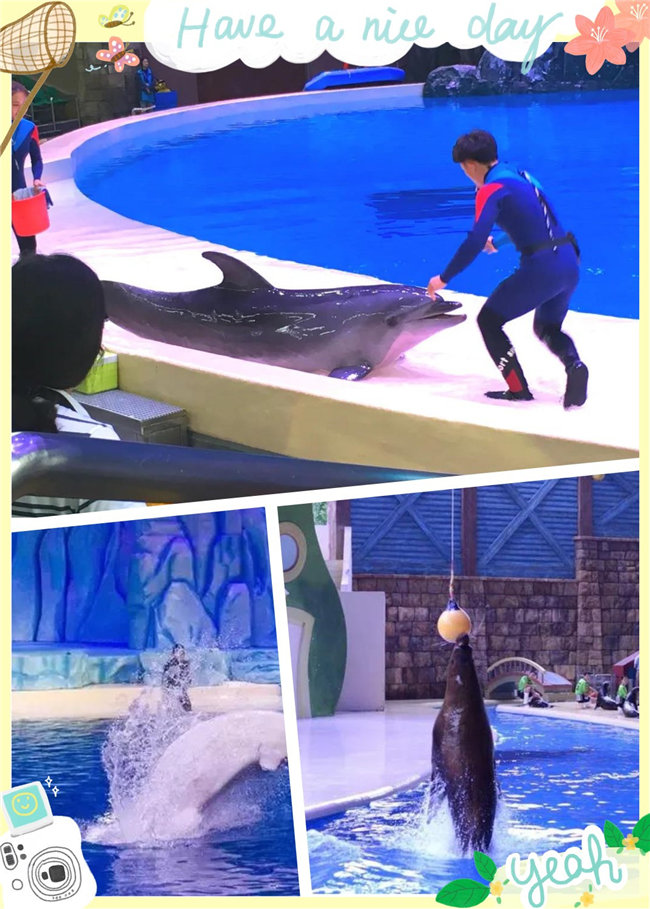 廣東博皓親子游：珠海長隆海洋王國，探索海洋生物的奧秘，劇場(chǎng)表演