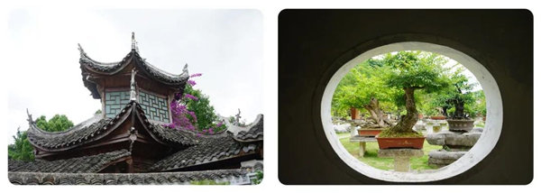 多彩貴州，魅力天下，2021年廣東博皓快樂(lè)貴州行-14