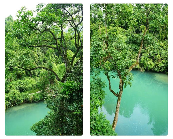 多彩貴州，魅力天下，2021年廣東博皓快樂(lè)貴州行-29