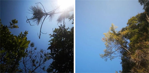 廣東博皓 博行天下丨虎年第一爬，挑戰(zhàn)從化老虎頭   -1