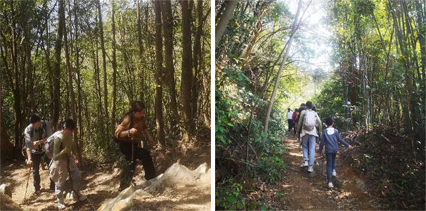 廣東博皓 博行天下丨虎年第一爬，挑戰(zhàn)從化老虎頭   -2