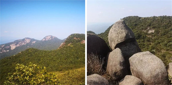 廣東博皓 博行天下丨虎年第一爬，挑戰(zhàn)從化老虎頭   -4