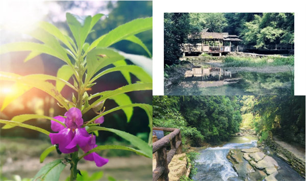 “湘”約鳳凰，相守未來(lái)——2022博皓快樂(lè)湖南行    -34