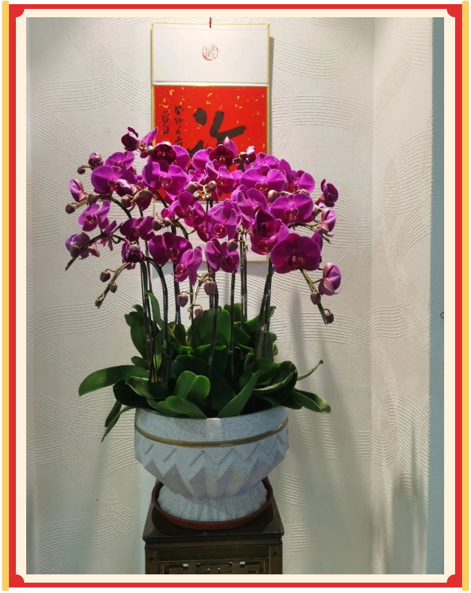 廣東博皓開(kāi)工大吉丨金虎騰躍，兔來(lái)運(yùn)轉(zhuǎn)           -23