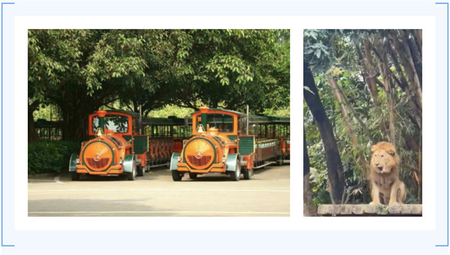 大手牽小手，快樂(lè)親子游！廣東博皓2023年親子游活動(dòng)        -7