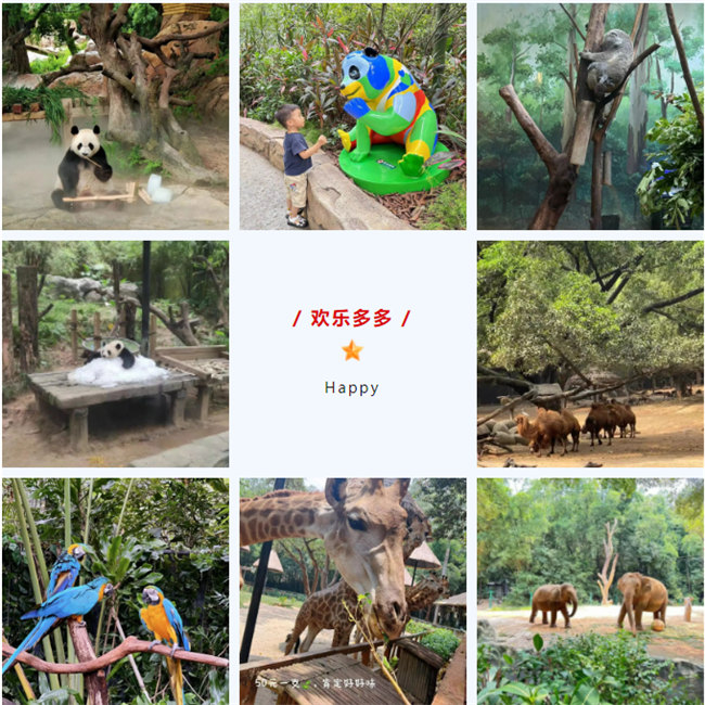 大手牽小手，快樂(lè)親子游！廣東博皓2023年親子游活動(dòng)        -8