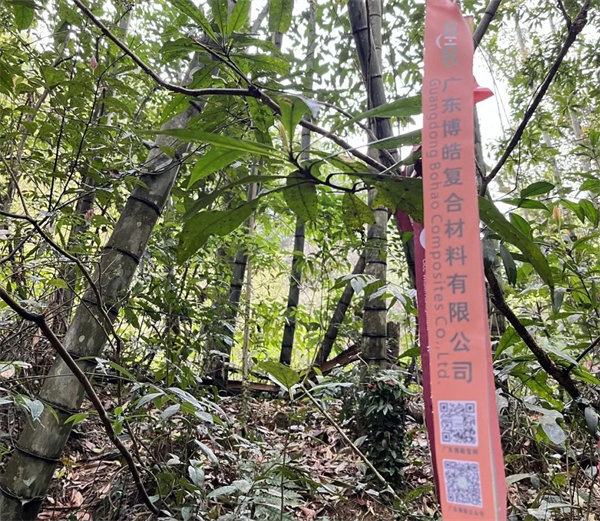 凝心聚力再出發(fā)，風(fēng)雨同舟赴星溪！--廣東博皓2024龍年首登星溪之旅     -2