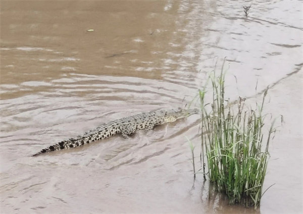 廿載風(fēng)云一路行，馬來風(fēng)情共見證——2024廣東博皓馬來西亞之旅   -15