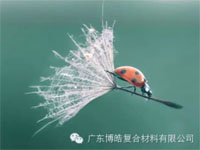 【博皓感悟】成功，要“借力”，不要“盡力”