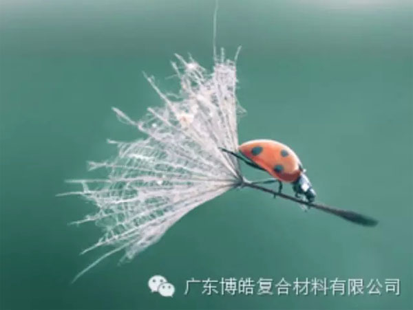 【博皓感悟】成功，要“借力”，不要“盡力”