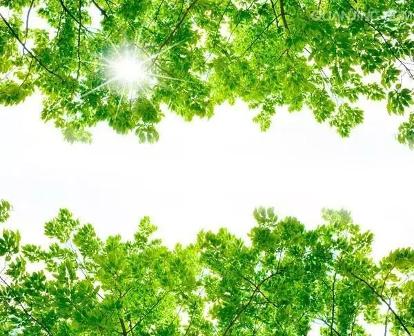 人生實苦，但請你足夠相信！